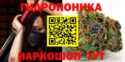 гашик Обнинск
