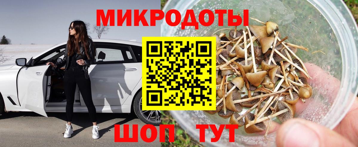 Сегежа  Галлюциногенные грибы Psilocybe  Вход с VPN  Псилоцибиновые грибы Psilocybe 